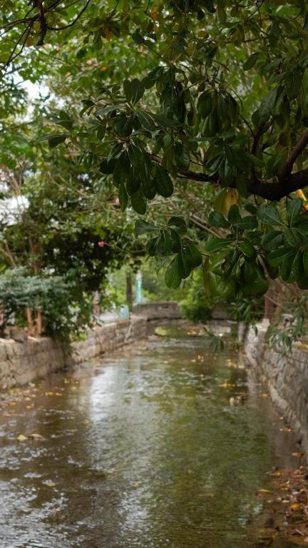 Kyoto Hatsune Hotel Zewnętrze zdjęcie